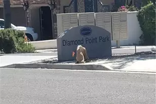 22720 Blue Teal, Canyon Lake, CA 92587 - Photo 11