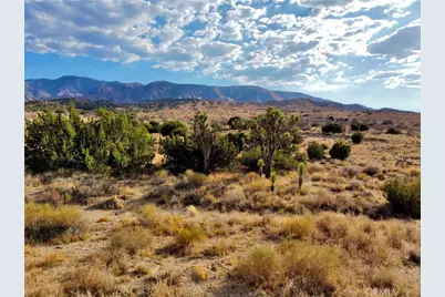 13 Longview Road, Pearblossom, CA 93553 - Photo 13