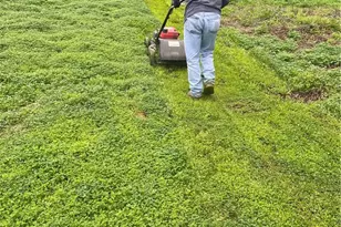 19542 Marcy Dr, Santa Ana, CA 92705 - Photo 57