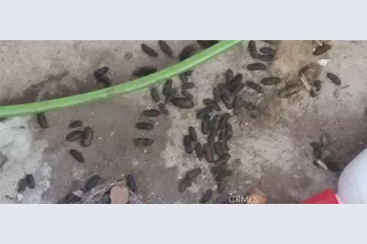 19542 Marcy Drive, Santa Ana, CA 92705 - Photo 39