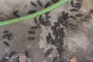 19542 Marcy Dr, Santa Ana, CA 92705 - Photo 39