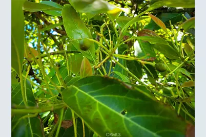 45100 La Cruz Drive, Temecula, CA 92590 - Photo 37