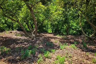 45100 La Cruz Dr, Temecula, CA 92590 - Photo 29