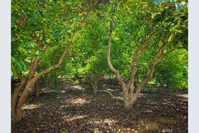 45100 La Cruz Drive, Temecula, CA 92590 - Photo 19