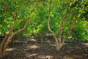 45100 La Cruz Dr, Temecula, CA 92590 - Photo 19