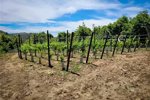 45100 La Cruz Dr, Temecula, CA 92590 - Photo 35