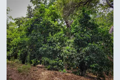 5 Via Vaquero, Temecula, CA 92590 - Photo 25