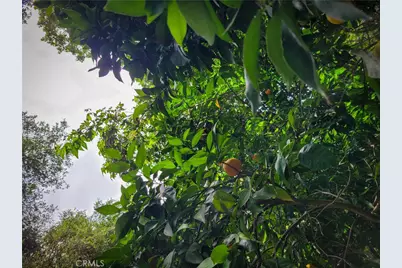 5 Via Vaquero, Temecula, CA 92590 - Photo 27