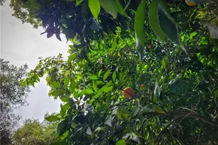 5 Via Vaquero, Temecula, CA 92590 - Photo 27