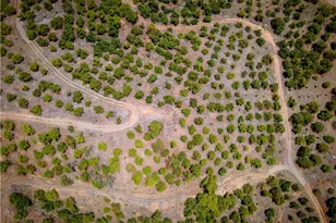 5 Via Vaquero, Temecula, CA 92590 - Photo 41