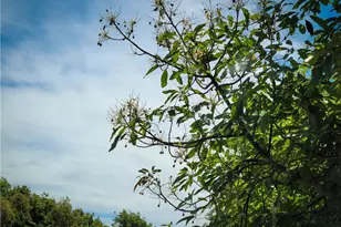 5 Via Vaquero, Temecula, CA 92590 - Photo 7