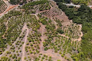 5 Via Vaquero, Temecula, CA 92590 - Photo 35