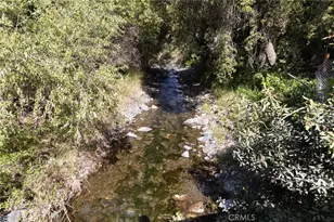 28932 Kommers Ln, Modjeska Canyon, CA 92676 - Photo 73