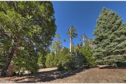 2402 Spring Oak Drive, Running Springs, CA 92382 - Photo 9