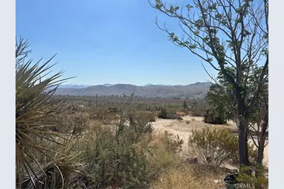 50212 Cedar Drive, Morongo Valley, CA 92256 - Photo 23