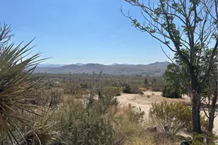 50212 Cedar Dr, Morongo Valley, CA 92256 - Photo 23