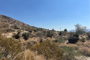 50212 Cedar Dr, Morongo Valley, CA 92256 - Photo 21