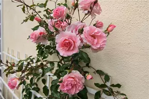 28242 Elmwood, Mission Viejo, CA 92692 - Photo 29