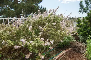 28242 Elmwood, Mission Viejo, CA 92692 - Photo 35