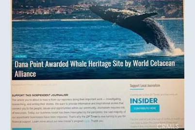 33751 Copper Lantern Street, Dana Point, CA 92629 - Photo 35