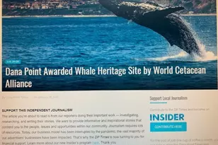 33751 Copper Lantern St, Dana Point, CA 92629 - Photo 35