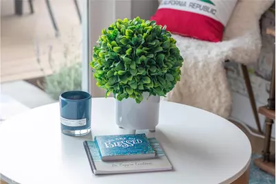 33751 Copper Lantern Street, Dana Point, CA 92629 - Photo 19