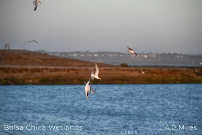 414 Main Street #330, Huntington Beach, CA 92648 - Photo 31