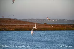 414 Main St, Huntington Beach, CA 92648 - Photo 31