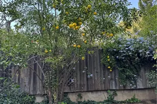 4478 4th St, Riverside, CA 92501 - Photo 37