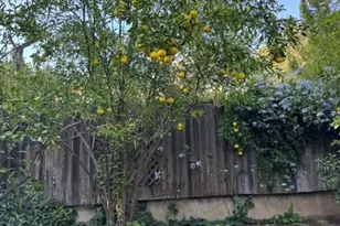 4478 4th St, Riverside, CA 92501 - Photo 49