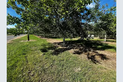 4180 County 203 Road, Hamilton City, CA 95951 - Photo 3