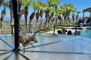 32072 Sea Island Dr, Dana Point, CA 92629 - Photo 61