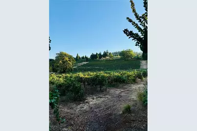 2781 Larsen, Camino, CA 95709 - Photo 5