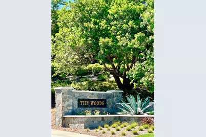 22 Palomino, Coto de Caza, CA 92679 - Photo 55