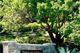 22 Palomino, Coto de Caza, CA 92679 - Photo 55