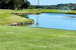 22 Palomino, Coto de Caza, CA 92679 - Photo 57