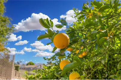 27953 Atlantic, Highland, CA 92346 - Photo 69