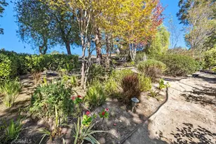 31581 Via Coyote, Coto de Caza, CA 92679 - Photo 47
