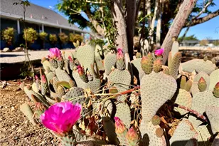 65585 4th St, Joshua Tree, CA 92252 - Photo 33