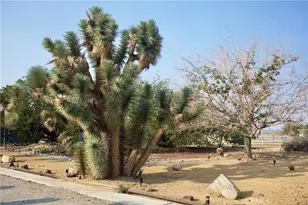 65585 4th St, Joshua Tree, CA 92252 - Photo 29