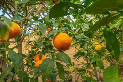 27015 Lemon Grass, Murrieta, CA 92562 - Photo 63