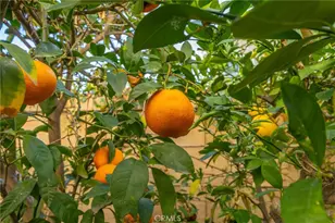 27015 Lemon Grass, Murrieta, CA 92562 - Photo 63