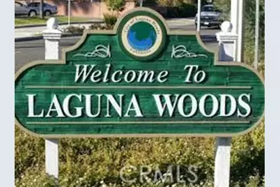 803 Ronda Mendoza #N, Laguna Woods, CA 92637 - Photo 43