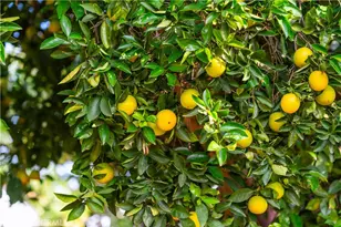 23192 De Anza, Temecula, CA 92590 - Photo 43