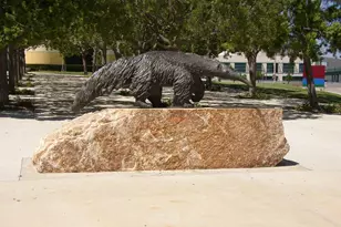 61 Lupari, Irvine, CA 92618 - Photo 61