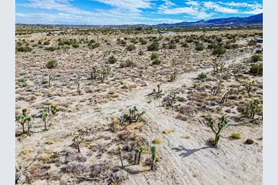 30002 263rd, Llano, CA 93544 - Photo 39