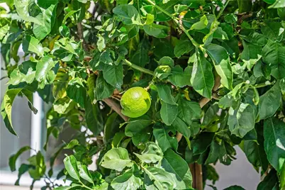 30 Entrada, Irvine, CA 92620 - Photo 39