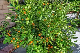 30 Entrada, Irvine, CA 92620 - Photo 51