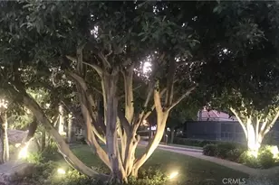 21531 Paseo Palmetto, Mission Viejo, CA 92692 - Photo 35