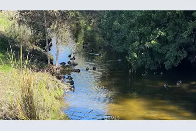 898 Ronda Sevilla #N, Laguna Woods, CA 92637 - Photo 13